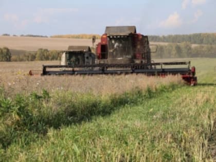В Кузбассе аграрии уже собрали более половины выращенного урожая