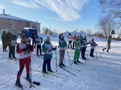 Готов к труду и обороне