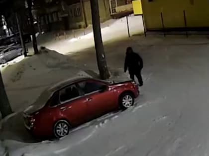 В Прокопьевске задержали мужчину, повредившего 32 автомобиля