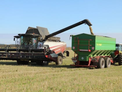 Уборочная кампания в КуZбассе вышла на финишную прямую