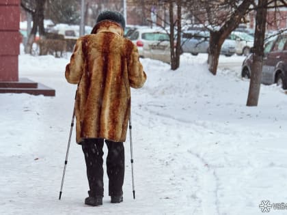 Полиция задержала укравшую кошелек пенсионерку в Кузбассе