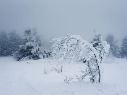 Январская "жара" резко сменится трескучим морозом