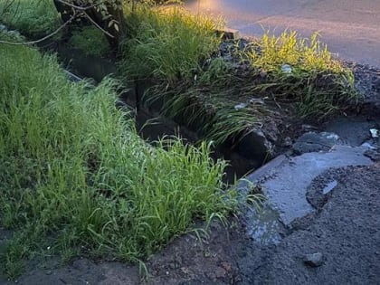 Пожилая женщина утонула в Ростовской области