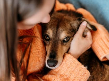 «Сначала умерла собака»: стали известны подробности карантина из-за опаснейшего вируса в Кузбассе