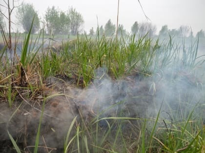 В Амурской области пожарный спас в болоте двух женщин от огня