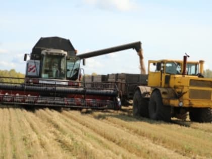 В сельхозпредприятиях Тяжинского округа продолжатся уборочная страда