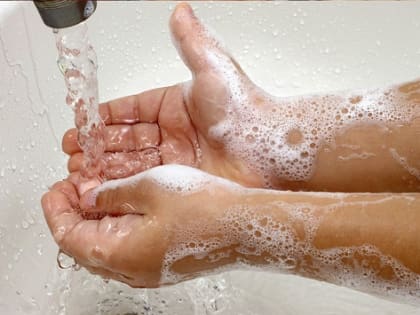 Паразиты: как защититься от угрозы для здоровья