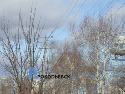 Октябрь начнётся с ясной, но холодной погоды