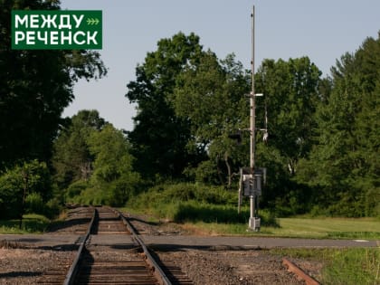 В Красногорске почти 30 рабочих отравились в столовой. Возбуждено уголовное дело