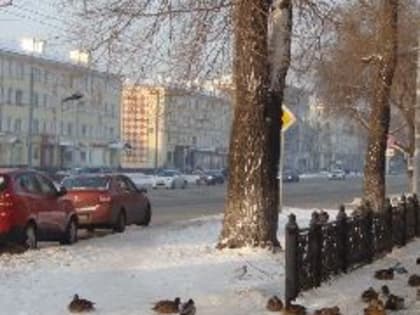 В Кузбассе ожидается снег, возможно небольшое похолодание