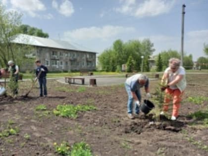 В п. Шишино состоялась акция "Единый день посадки деревьев"