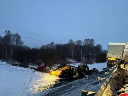 Двое водителей грузовых автомобилей погибли в массовом ДТП
