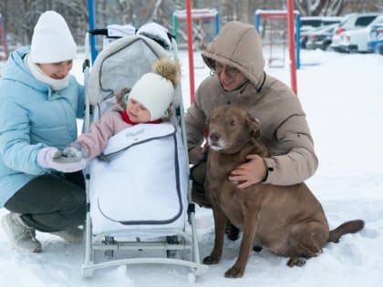 В Кузбассе на поддержку детей и семей с детьми до конца года будет направлено почти 27 млрд рублей.