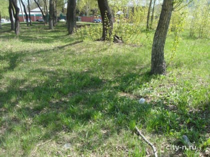 Не прошло и недели: труп собаки, больше года разлагавшийся возле церкви, убрали после публикации Сити-н (ФОТО)