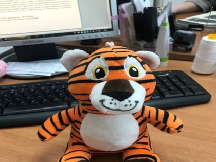 В Кузбассе 30-летний рецидивист дерзко ограбил автомат с игрушками (ФОТО, ВИДЕО)