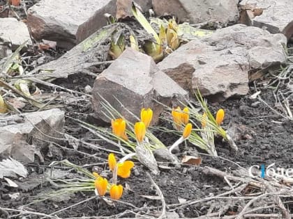 Погода в майский праздничный день будет не совсем праздничной