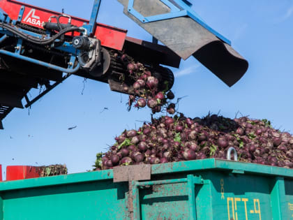 Сергей Цивилев: весь урожай в КуZбассе должен быть убран с полей до 20 октября