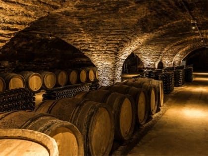 Вино как биржевая инвестиция: проходящий тренд или перспективы будущего   