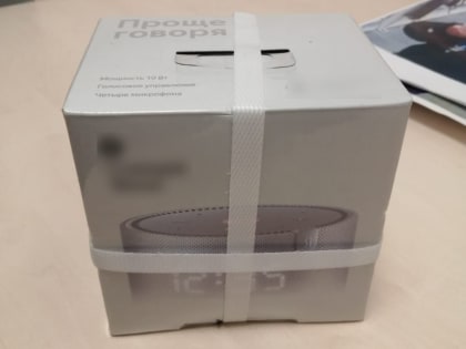 Новокузнечанин повадился воровать в Леруа Мерлен «умные» колонки, но на четвёртой попался