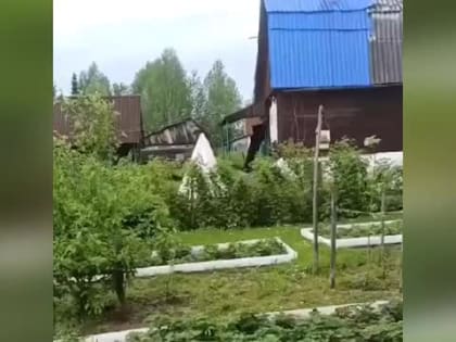 Медведь ходит по дачам