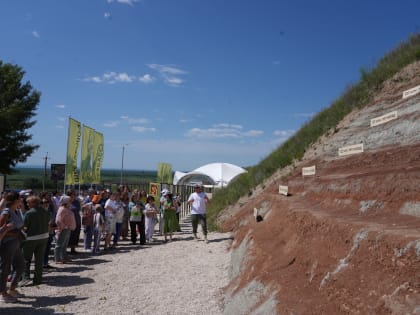 На фестивале «Динотерра» в Шестаково начала работать научная резиденция