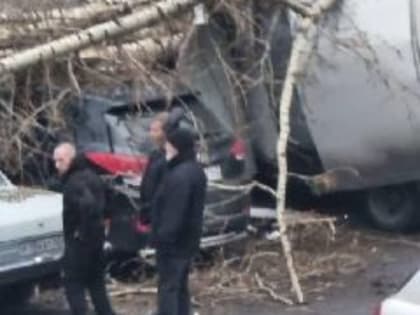 Новокузнечанин высудил с управляющей компании 680 тысяч за упавший на его машину тополь