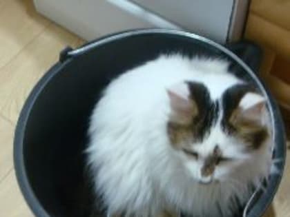 Водоканал сделает перерасчёт новокузнечанам, дома которых попадут под отключение холодной воды с 19 по 21 июля