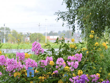 В понедельник в Прокопьевске не без дождя