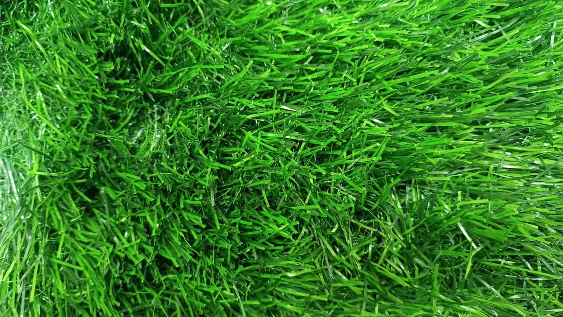 50mm Premium Artificial Grass Project Delhi