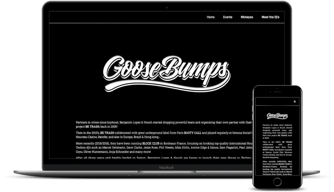 Full-Stack Web Developer - projects - Goosebumps