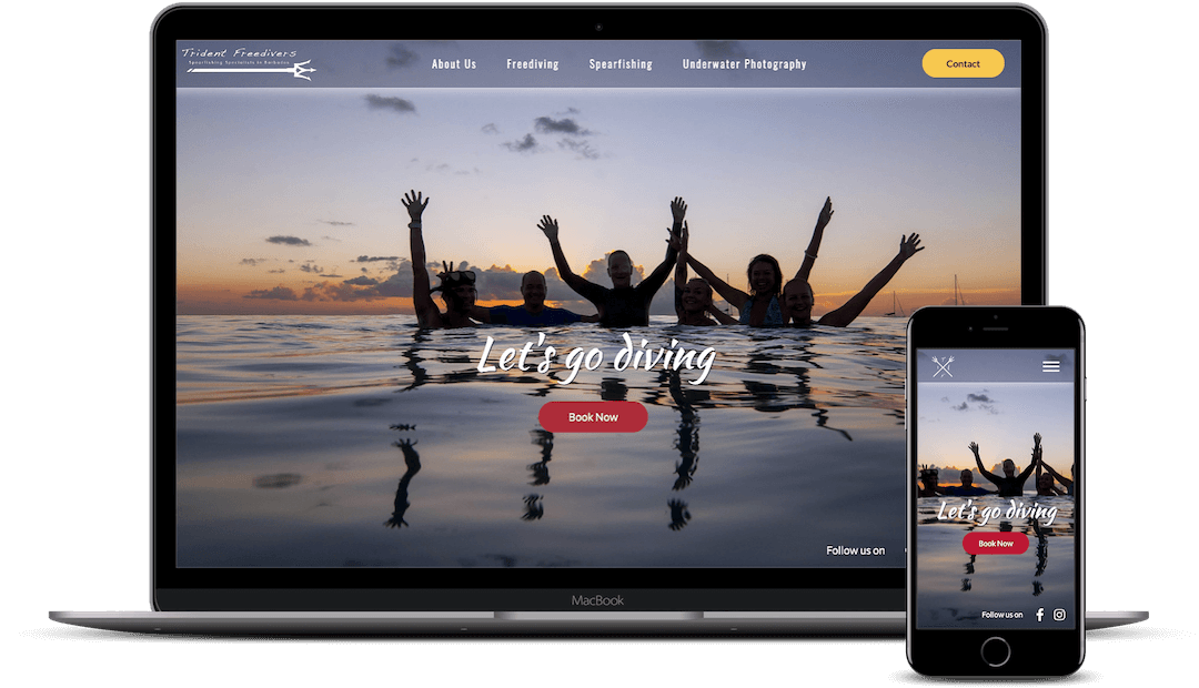 Full-Stack Web Developer - projects - Trident Freedivers