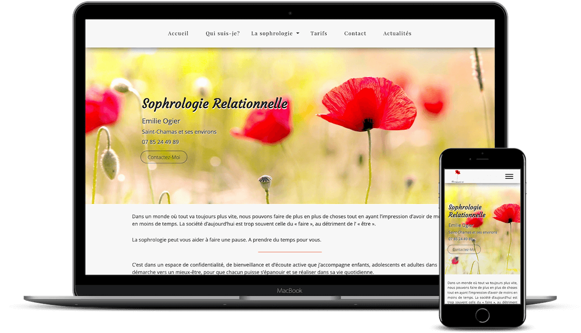 Full-Stack Web Developer - projects - E.Ogier - Sohrologie