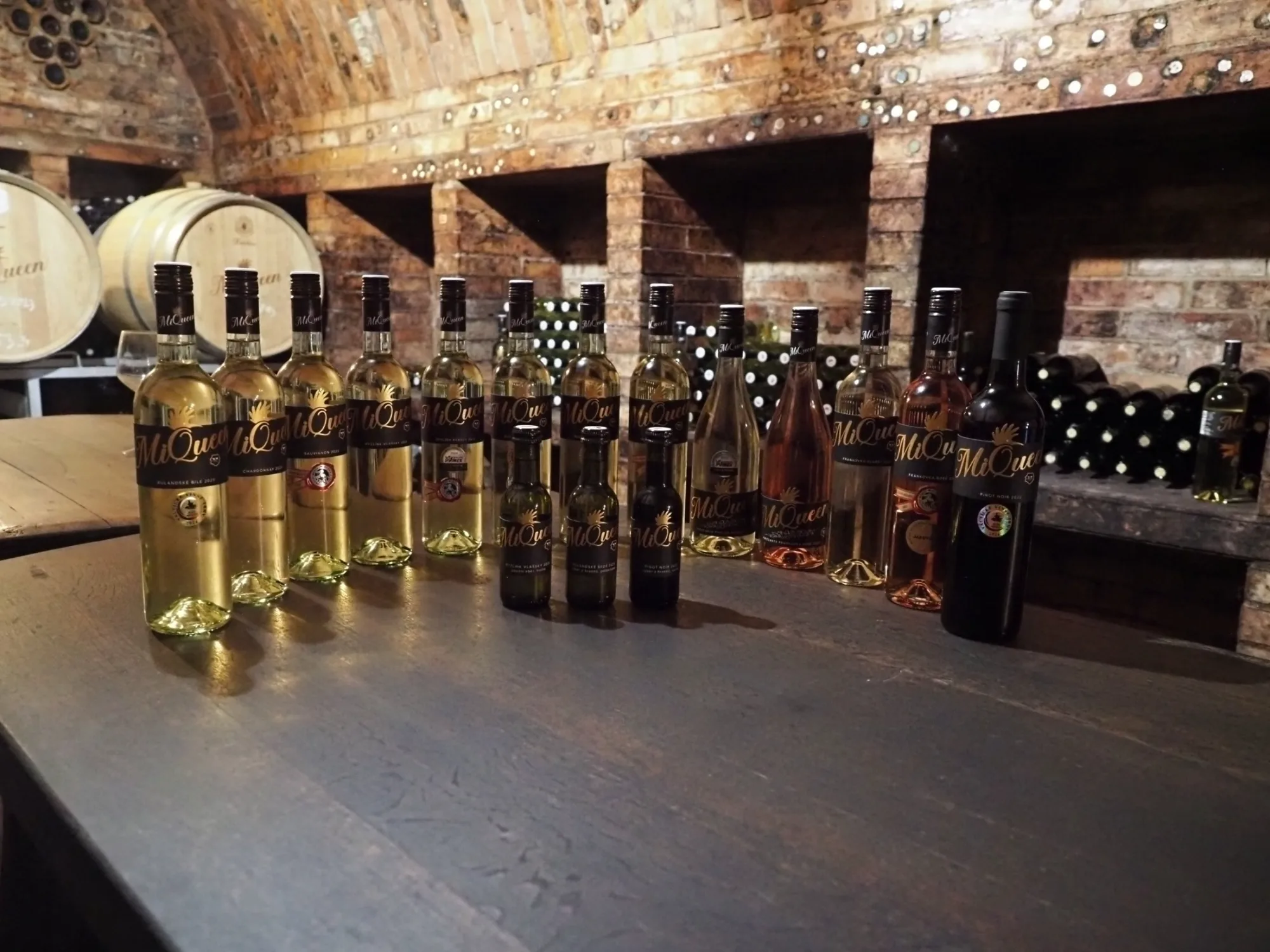 Soukromá či firemní degustace v Čejkovicích