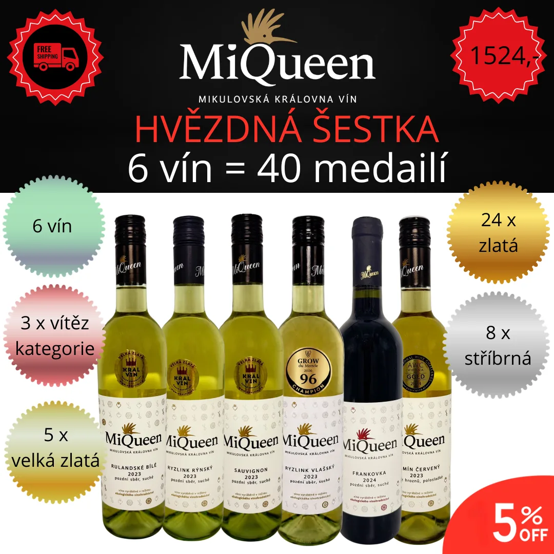 Hvězdná medailová šestka