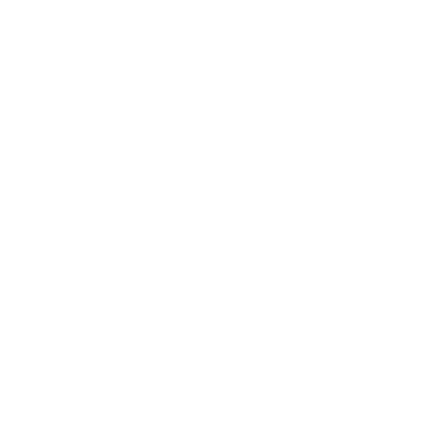 Big Brother Jill Foundation Logo