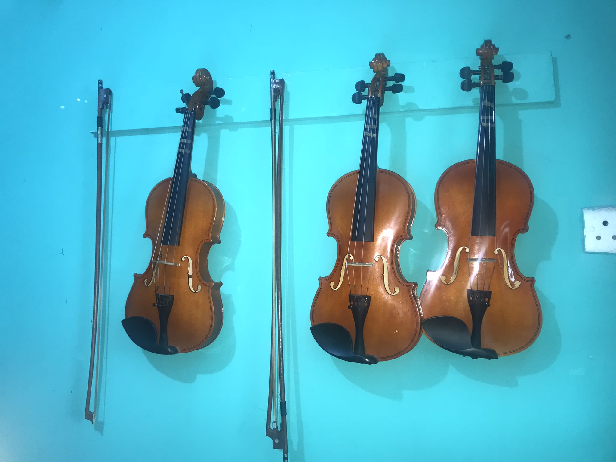 Images from our gallery