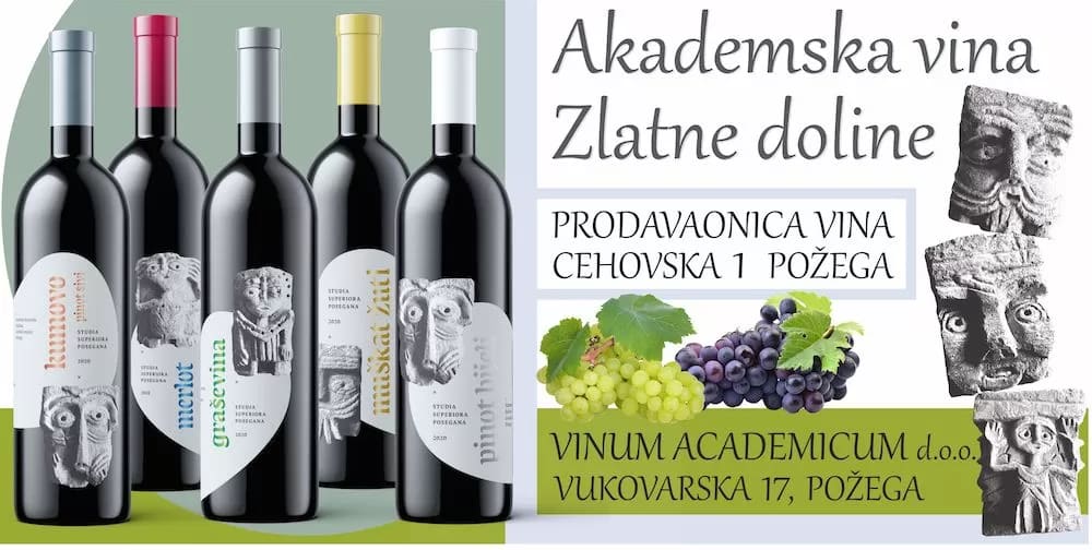 Academicum Winery winery logo