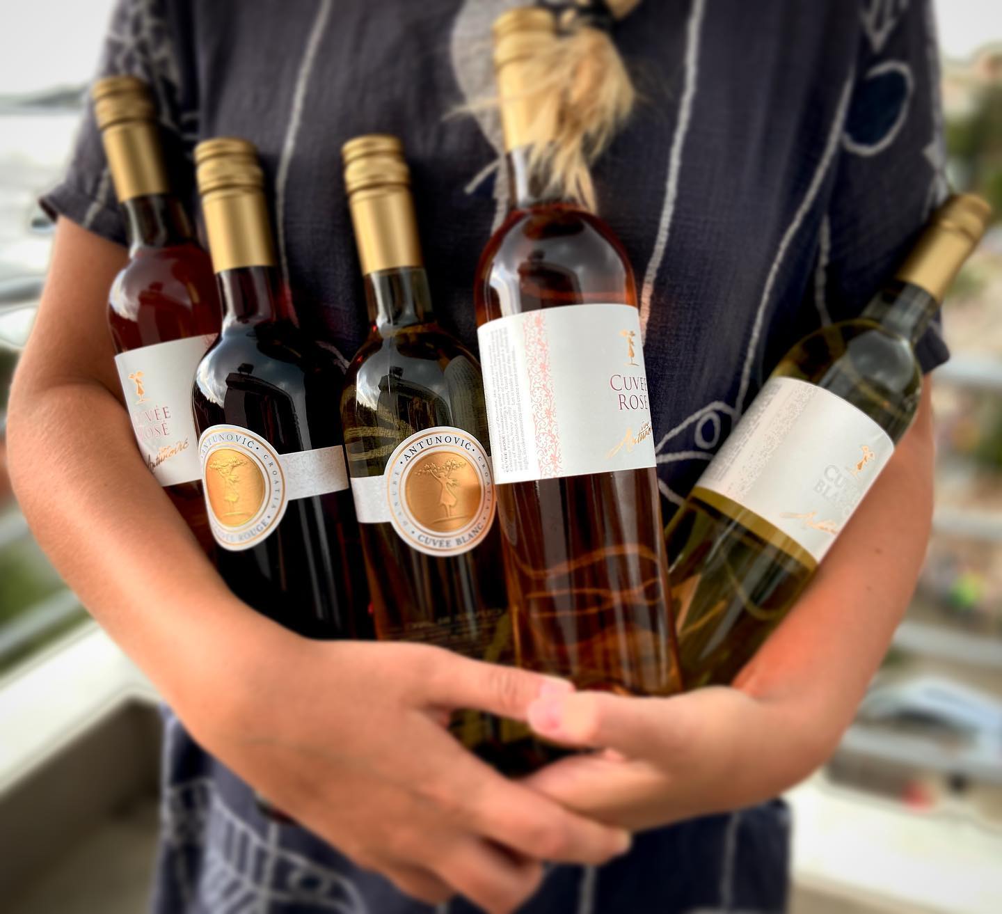 Hero image for Antunović Vina winery