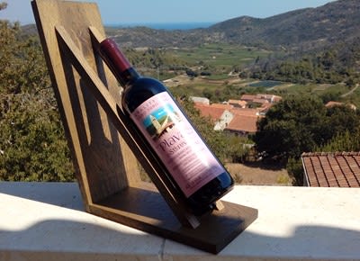 “Plasa” Petrušac Vinarija winery logo