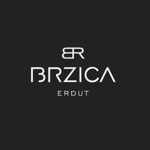 Brzica Vinarija winery logo
