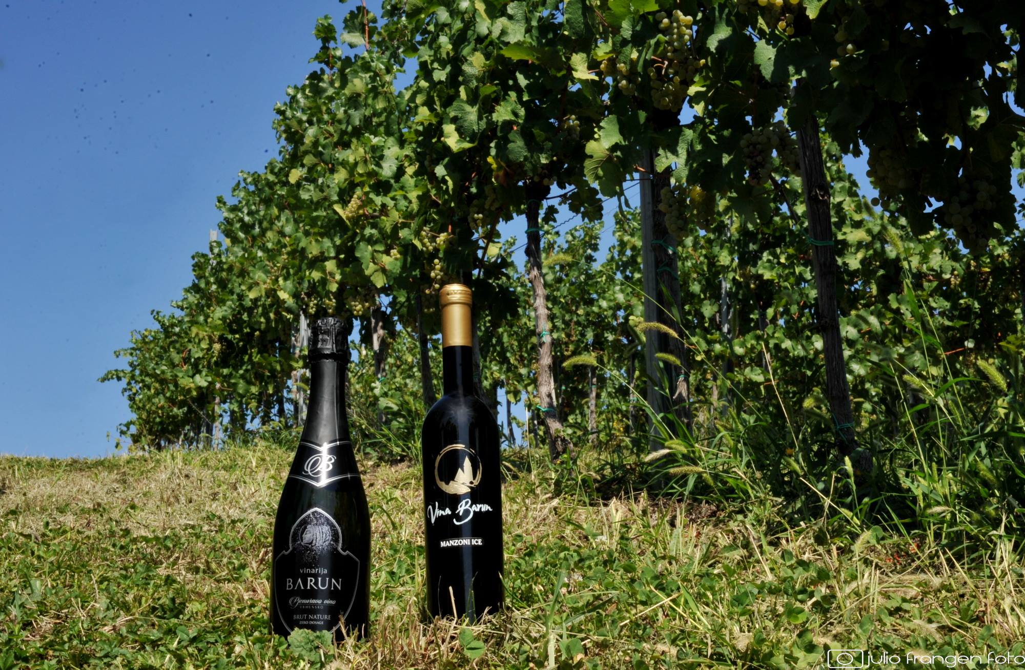 Hero image for Barun Winery winery