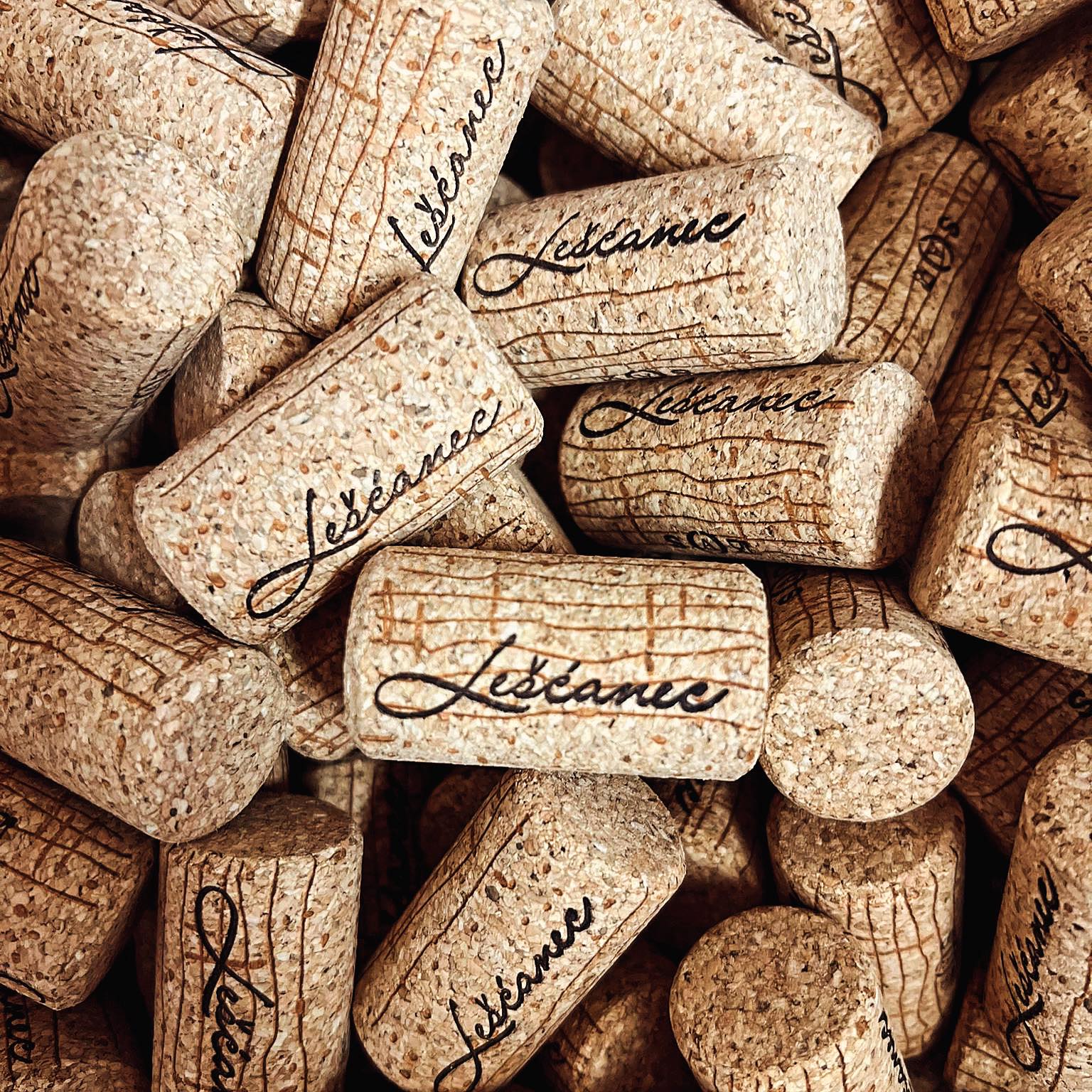 Hero image for Lešćanec Vinarija winery
