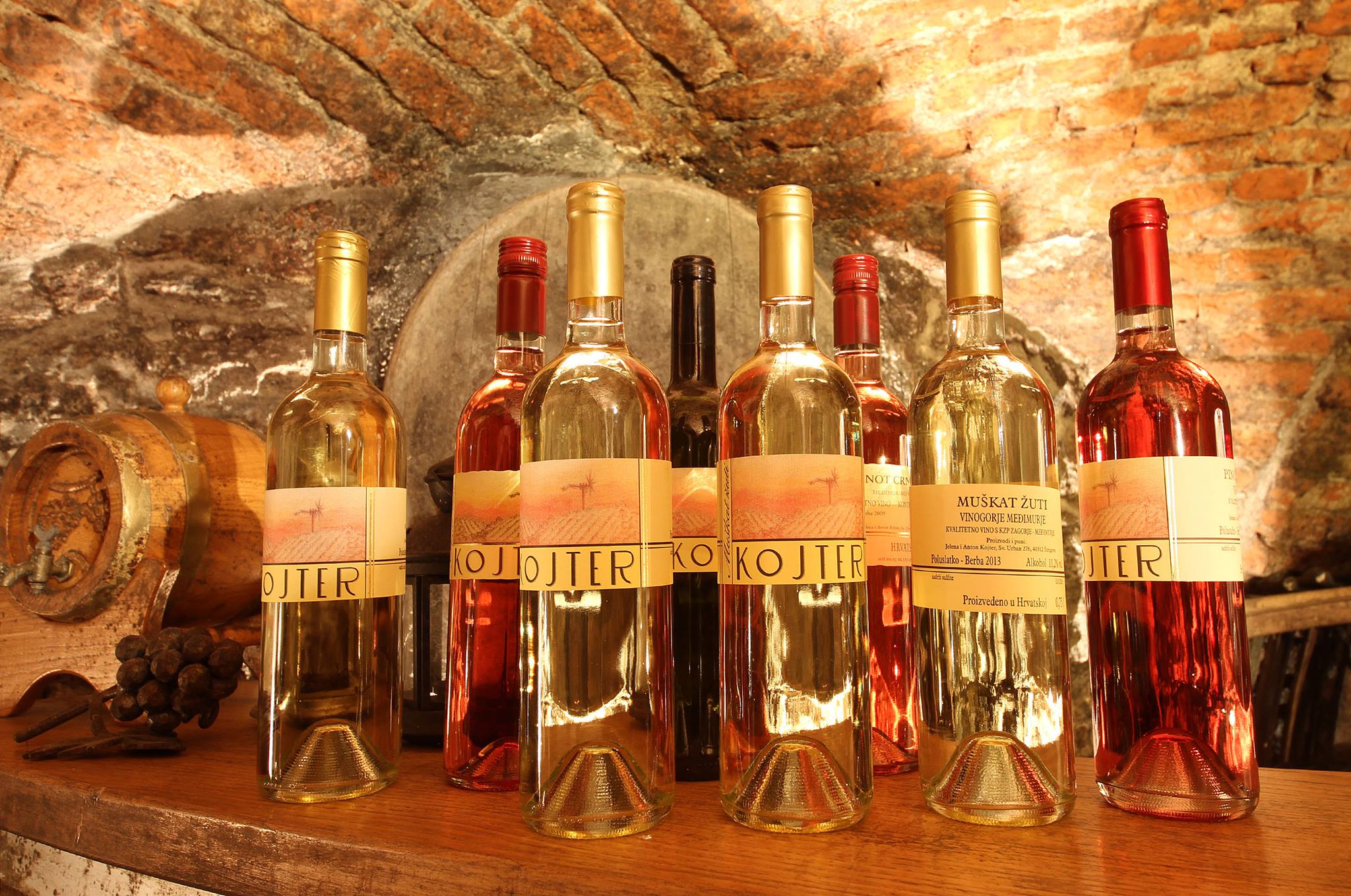 Hero image for Kojter Vinarija winery