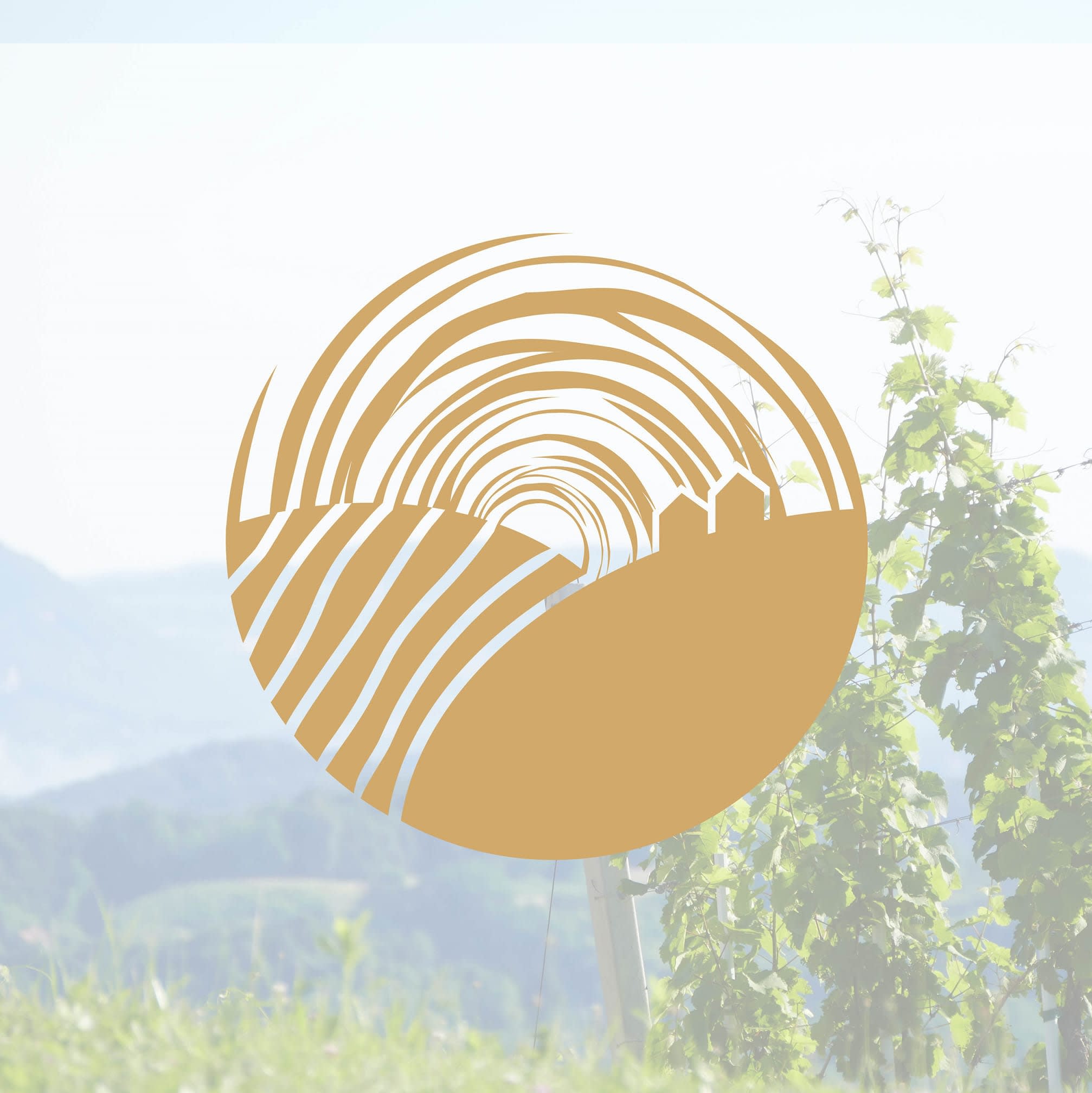 Prekratić Winery winery logo