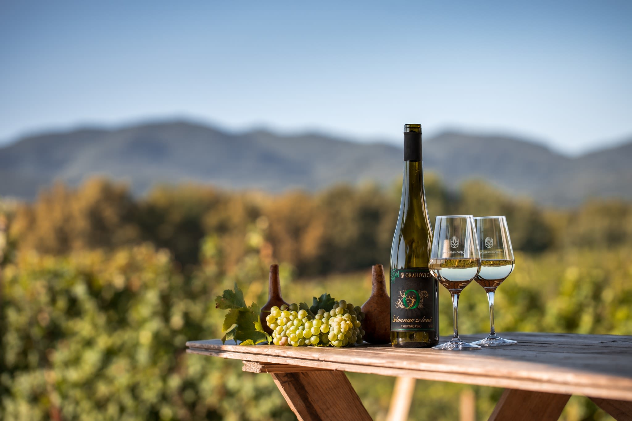 Hero image for PP Orahovica Vinarija winery