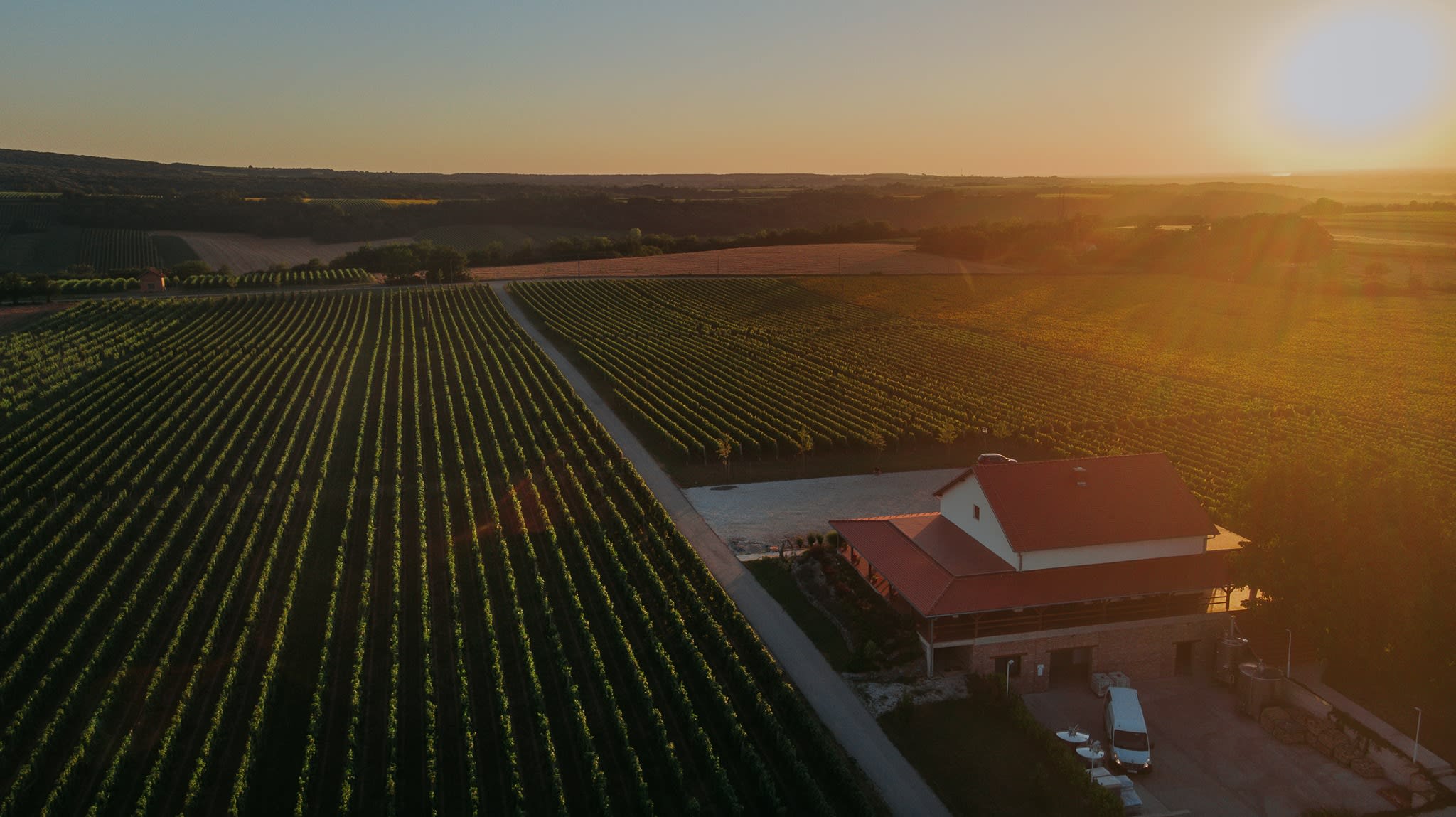 Hero image for Papak Vinarija winery