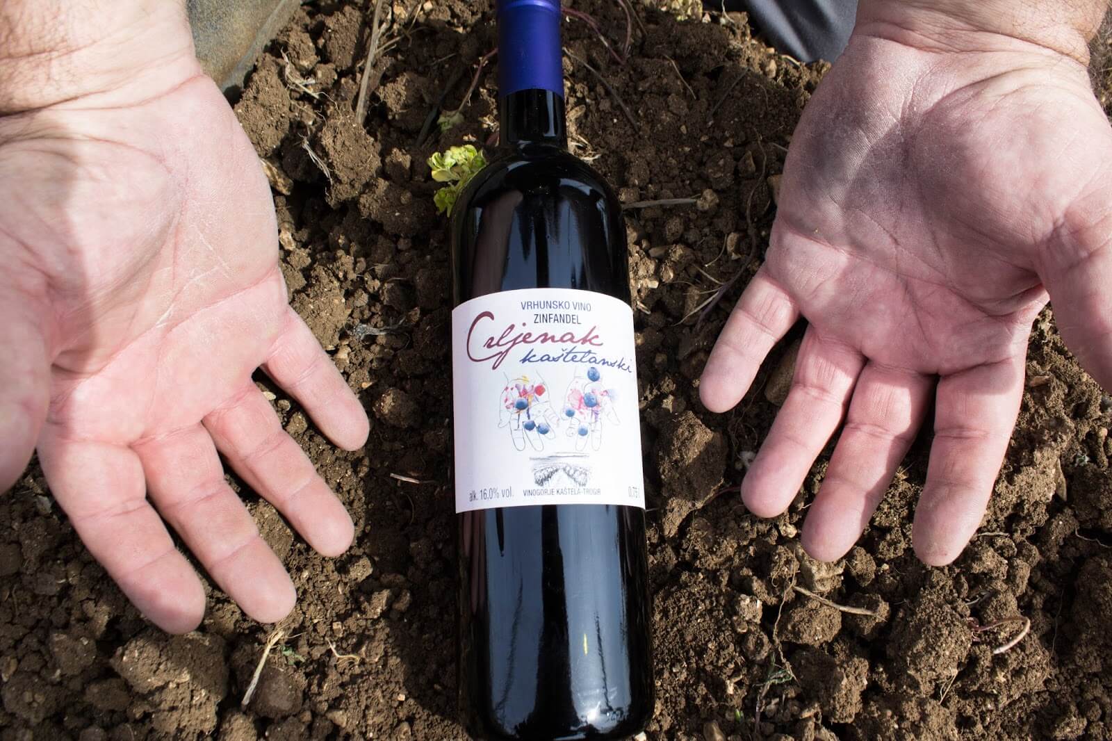 Hero image for OPG Ivica Radunić Winery winery