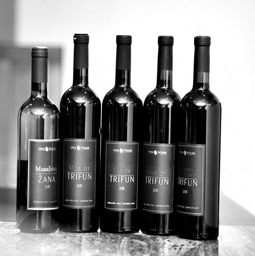Hero image for Poljak Vinarija winery
