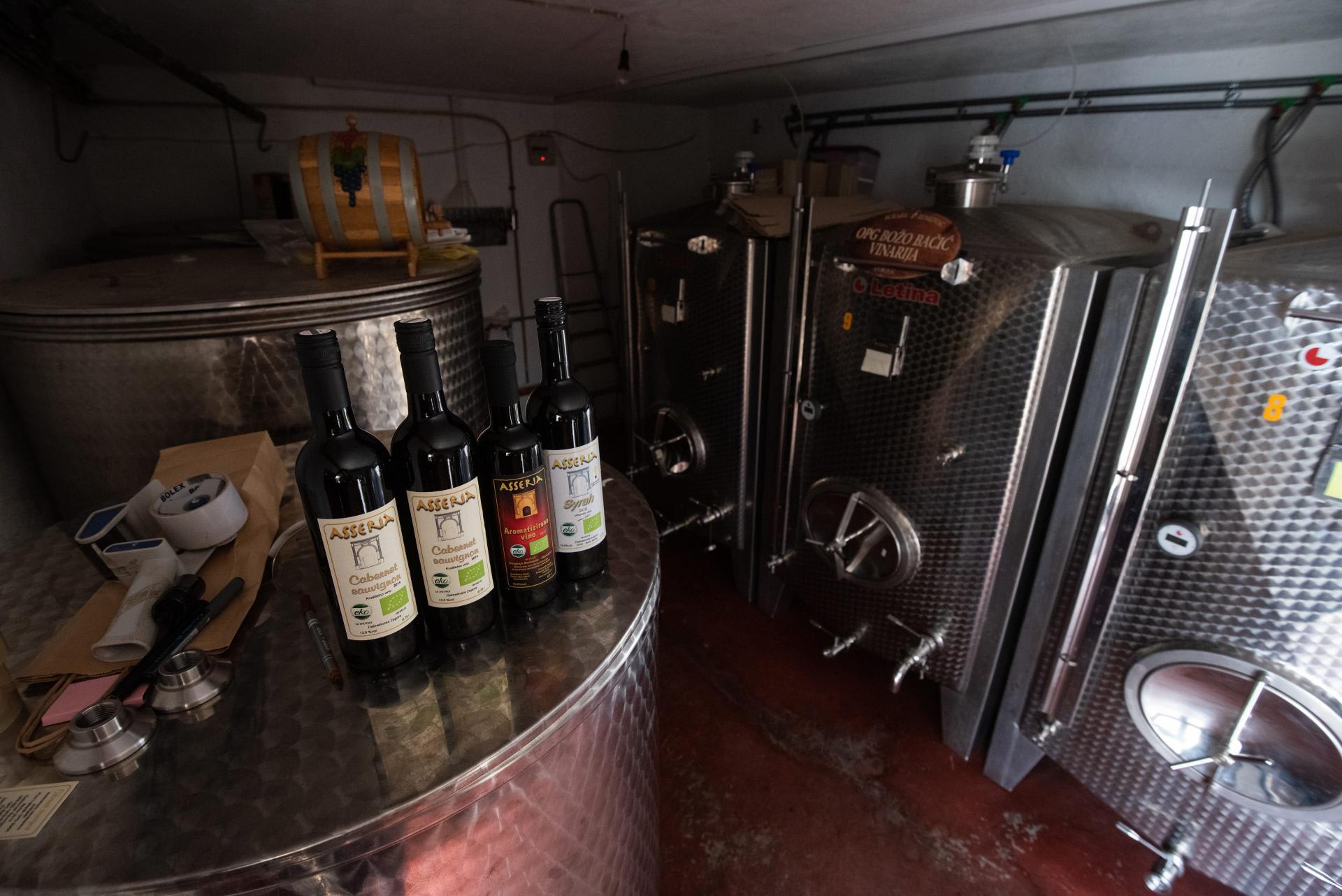 Hero image for OPG Božo Bačić Winery winery