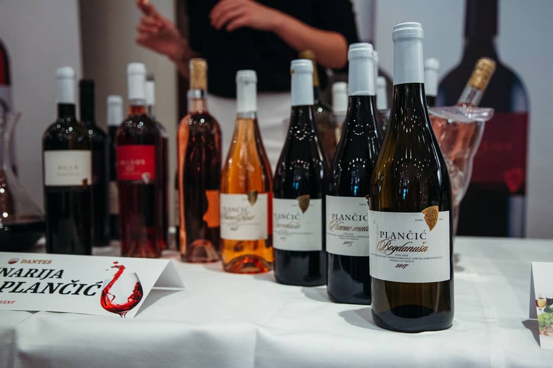 Hero image for Braća Plančić Vinarija winery
